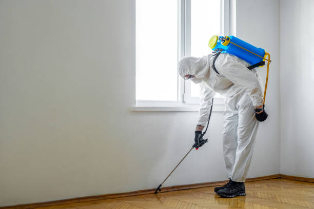 Best Flea Control Services  in Wakarusa, IN