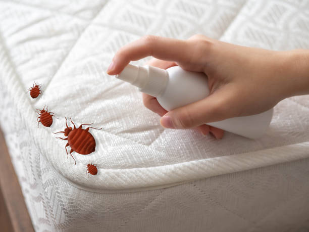 Best Wasp Removal Services  in Wakarusa, IN